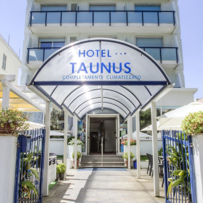 Hotel Taunus