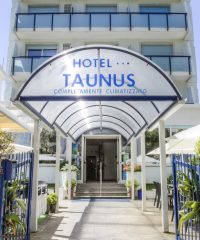 Hotel Taunus